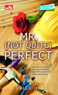 Image of Mr Not Quite Perfect